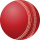 Cricket icon